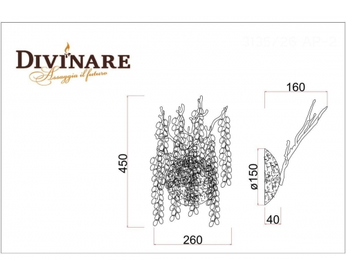 Бра Divinare Salice 3135/26 AP-2