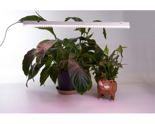 Светодиодный светильник для растений Feron AL7002 41355