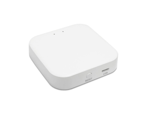 WI-FI конвертер ST Luce Skyline 220 ST015.500.97