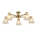 Потолочная люстра Arte Lamp Meleph A4096PL-5BR