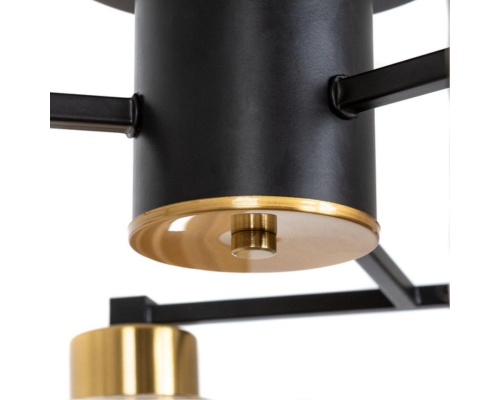 Потолочная люстра Arte Lamp Leo A7027PL-8BK