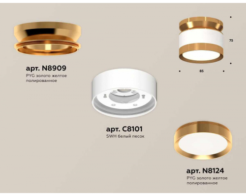 Комплект накладного светильника Ambrella light Techno Spot XS (N8909, C8101, N8124) XS8101060