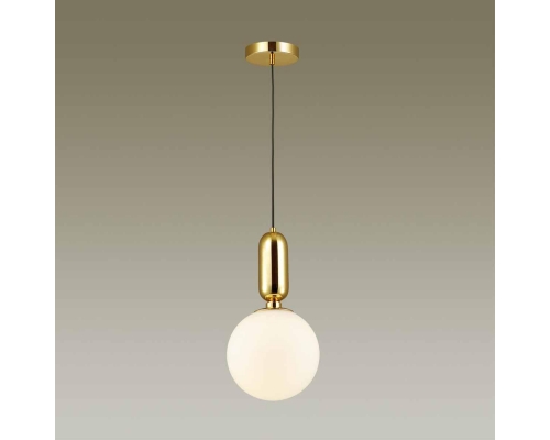 Подвесной светильник Odeon Light Pendant Okia 4669/1