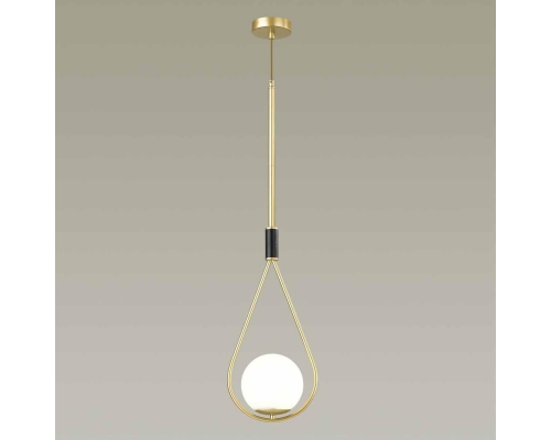 Подвесной светильник Odeon Light Pendant Flari 4810/1