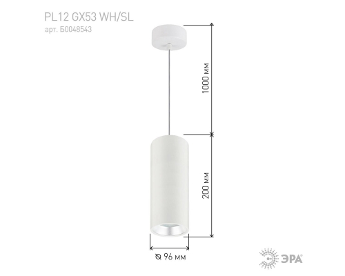 Подвесной светильник ЭРА PL12 GX53 WH/SL Б0048543