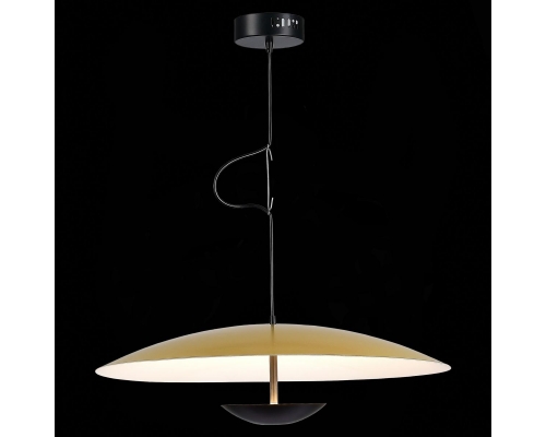 Подвесной светодиодный светильник ST Luce ARMONICO SL6502.213.01