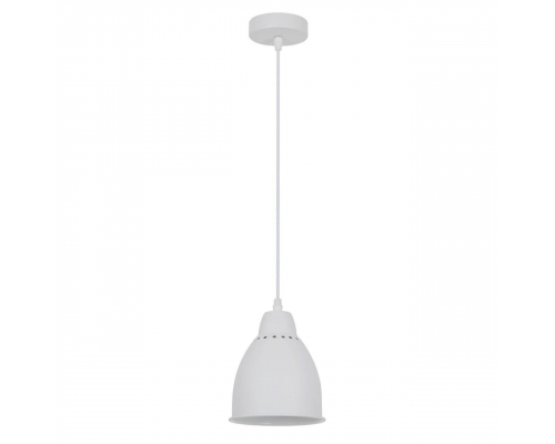 Подвесной светильник Arte Lamp Braccio A2054SP-1WH