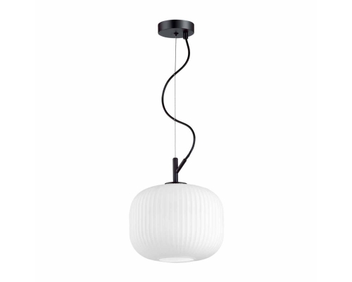 Подвесной светильник Odeon Light Pendant Roofi 4753/1