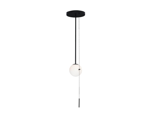 Подвесной светильник Loft IT Signal 10029PS Black