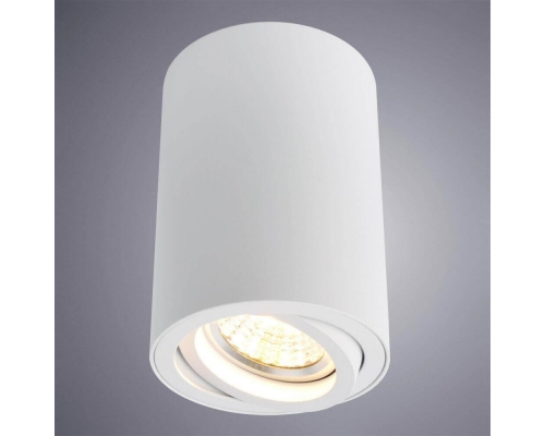 Потолочный светильник Arte Lamp A1560PL-1WH