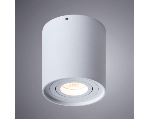 Потолочный светильник Arte Lamp Falcon A5645PL-1WH