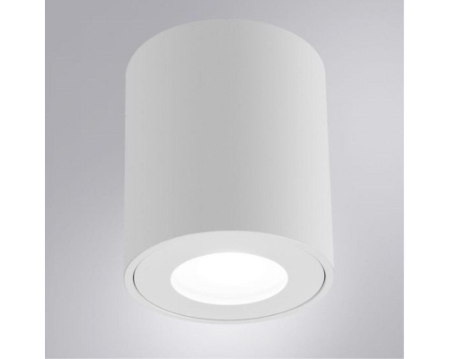 Потолочный светильник Arte Lamp Tino A1469PL-1WH