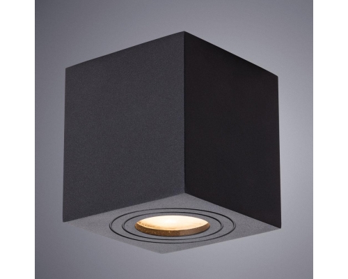 Потолочный светильник Arte Lamp Galopin A1461PL-1BK