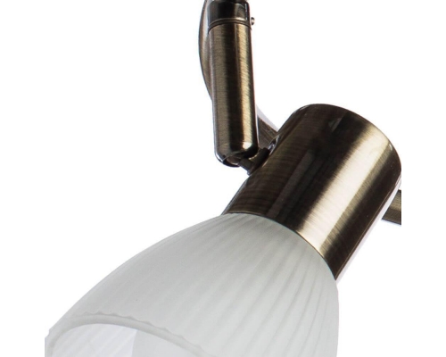 Спот Arte Lamp Parry A5062PL-3AB