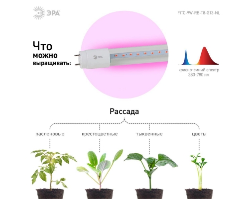 Лампа светодиодная для растений ЭРА G13 9W 1200K прозрачная Fito-9W-RB-Т8-G13-NL Б0042986