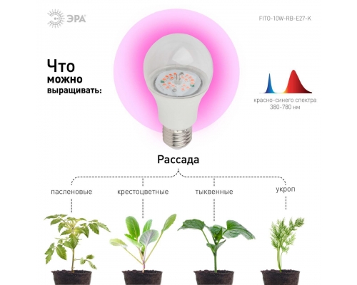 Лампа светодиодная для растений ЭРА E27 10W 1310K прозрачная FITO-10W-RB-E27-K Б0039069