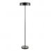 Торшер Arte Lamp Skat A7052PN-2BK